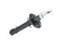 Amortiguador Delantero Para VW Seat 6N0413031M B18687 Borsehung