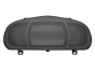 Velocímetro/Instrumentos Y Relojes Renault Scenic 4 248100254R 7741