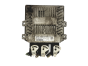 Controlador 3S61-12A650-LC 5WS40140E-T Ford Siemens 18131