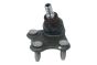Rótula De Suspensión Derecho 6R0407366 B11339 VW Audi Seat Skoda Borsehung