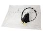 Cerradura Puerta Izquierdo Nueva Original Citroen C4 Coupe 9135FE