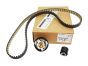 Kit Correia Dentada Original Citroen Peugeot 1654516080