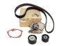 Kit Correia Dentada Nueva Original Renault 1.9 dCi 119A04462R