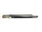 Moldura De La Puerta Izquierdo Trasera Nueva Original 96737751DX Citroen DS5