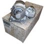 Arrancador Original 233004003R Renault