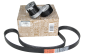 Tensor De La Correa 117209336R Renault