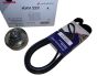 Correa Tensora De La Transmisión Para Renault KHV254 117205040R Hutchinson