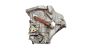 Caja De Cambios 20TT01 C1 107 Aygo 1.0 12v 2222QE 2231W4 1032