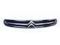 Parrilla 7804J7 9632099177 Citroen Xsara Picasso 99-03 1013