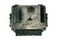 Controlador 0281011560 9659823880 9653958980 PSA Bosch 33513