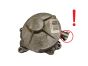 Bomba De Vacío 8200520476 2.0 DCI Renault Bosch 5169