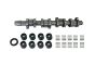 Árbol De Levas Completo 038109101AH B11307 VW Audi Seat Skoda Borsehung