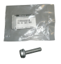 Tornillo De Fijación De Inyección Nueva Original 8200580935 Renault Dacia