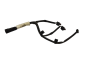 Cables eléctricos Ford 1.0 Eco Boost CM5G-9F666 BC