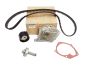 Kit Correia Dentada Original Renault 119A02421R