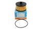 Filtro De Aceite PURFLUX L441 152095084R
