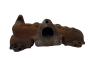 Colector De Escape 306678 Citroen Peugeot 12334