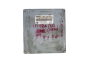 Controlador 0261204245 23710 74B15 Nissan Bosch 54123