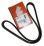 Correa Del Alternador Original 1606349580 Citroen Peugeot