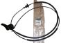 Cable Nueva Original 8200000964 Renault