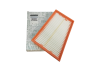 Filtro De Aire Original Renault 165463884R