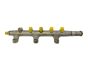 Rampa De Inyectores  8200023961 0445214025 Renault 2.2 2.5 DCI
