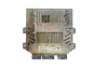 Controlador 3S61-12A650-LB 5WS40140D-T SID 804 Ford Siemens 34347