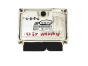 Controlador 038906019NA 0281011822 VW Seat Bosch 20981