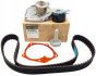 Kit Correia Dentada Nueva Original Renault Kangoo 1.5 dCi 119A02421R