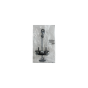Limitador De Puerta Derecho/Izquierdo Trasera Original Peugeot 307 9181K0